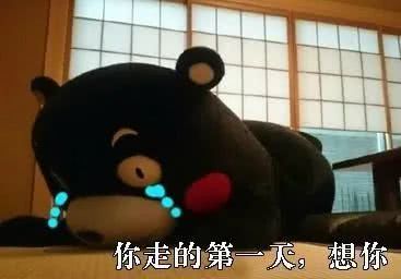 情侣互撩套路表情包库里