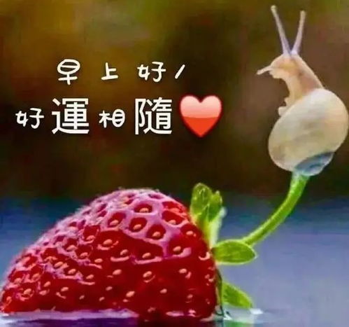 2021年7月17日早安问候祝福语动画表情动态图片,温馨早安问候语图片