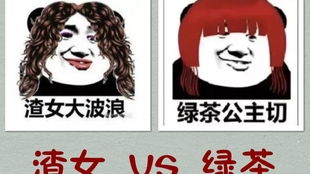 老虎老师的私人授课