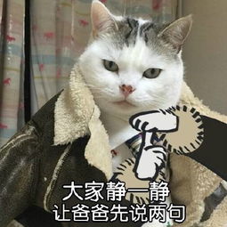 企鹅娘吐槽你最喜欢的二次元动物是哪一种呢