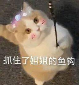 冬至给家人们准备了一些饺子