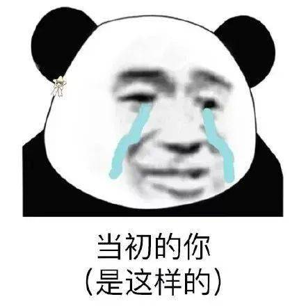 熊猫头表情包我们能在一起吗哪怕你是男的
