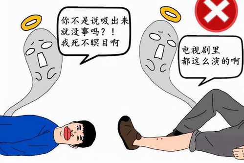 转发周知用嘴为同伴吸蛇毒很危险