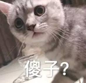妈表情包图片大全傻子