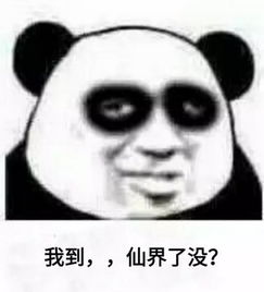 修仙是什麽意思什麽梗不睡觉你想修仙吗搞笑表情包图片