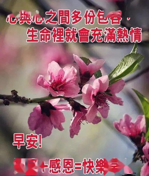 2021早上好短信祝福语录最新版1月微信漂亮早上好问候语祝福表情图片
