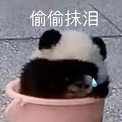 西安市千万读书工程全国征文大赛95赛区征文