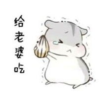 抱着老婆去睡觉表情包微信头像图片大全