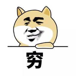 时隔三个月,苹果繁花落地,为何只剩一地鸡毛