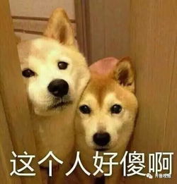 丈夫常年在外,女子家门口捡到俩插排,令人冒冷汗的事发生了
