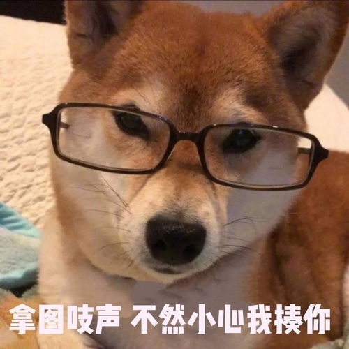 今日份表情包我小饼干给你一棒槌