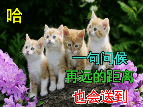 2022年早安祝福语动态表情图片,唯美的微信早上好问候图片