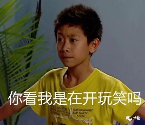 一位耳屎十级患者的自救日志
