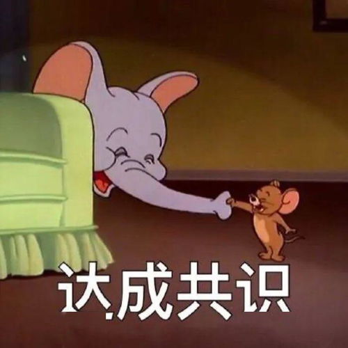 哥大康奈尔nyu学长学姐真实评价纽约州热门学校总有一款适合你