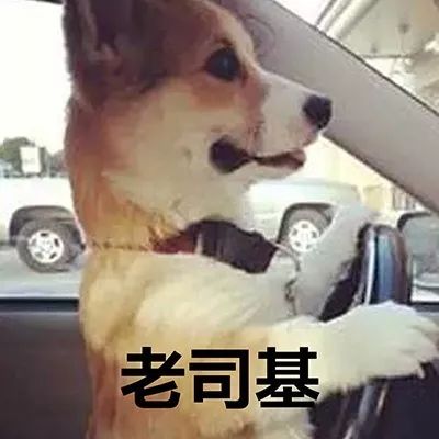 表情包表白游戏成语