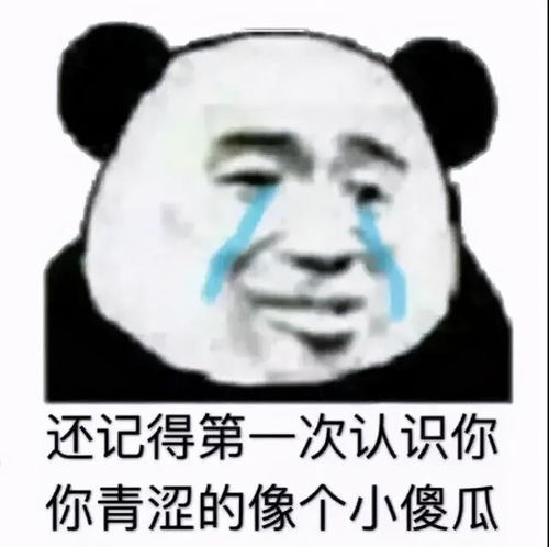表情包早安,我的小炮友