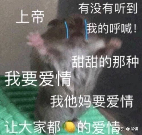 有没有甜甜的情话短句呀