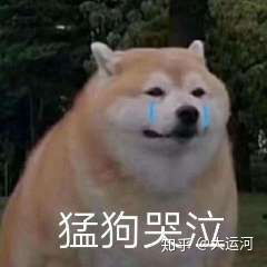 如何才能进一个靠谱的羊毛群
