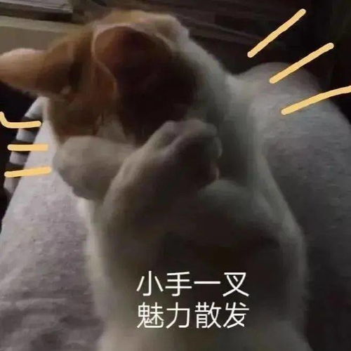 聊天日常表情包人家不要奶茶,要啵啵