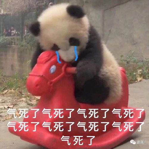 刘亦菲又现死亡自拍,鞠婧祎视频暴露身高,可却比天仙都美