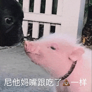 日常表情包月亮不睡我不睡,我是秃头小宝贝