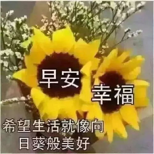 早上好,早晨送你最全的夏季问候表情包图片