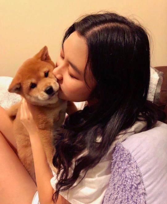 女朋友来我家对柴犬坐了个动作,这家伙露出的表情让我羡慕死了