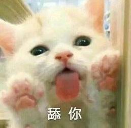 有没有和女朋友聊天用的表情包
