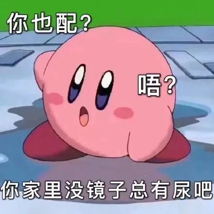 表情包你家里没镜子吗