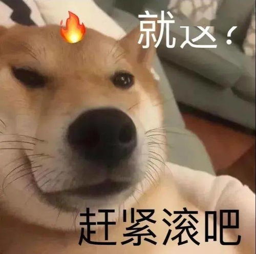 表情包距离不是问题爱没学过地理