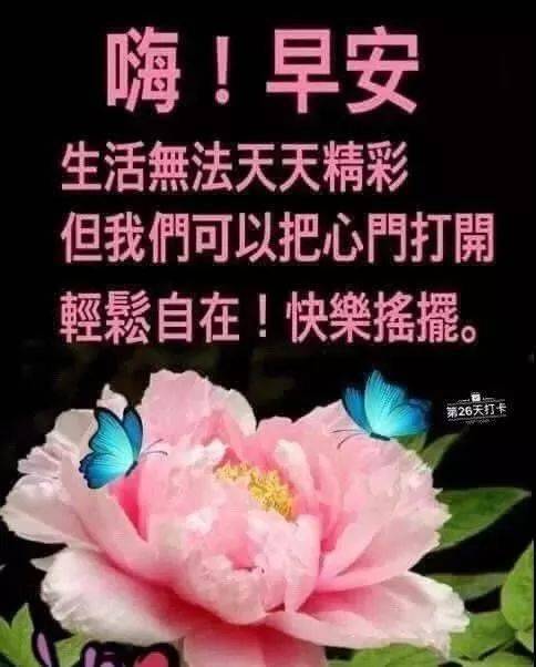 不用打字就可以聊天的图片
