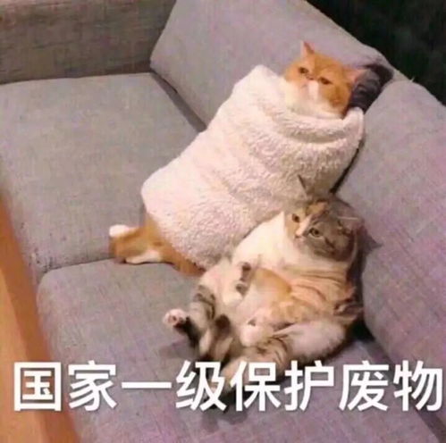 有一个特别污的女朋友是什么样的体验女生减肥原因大揭秘