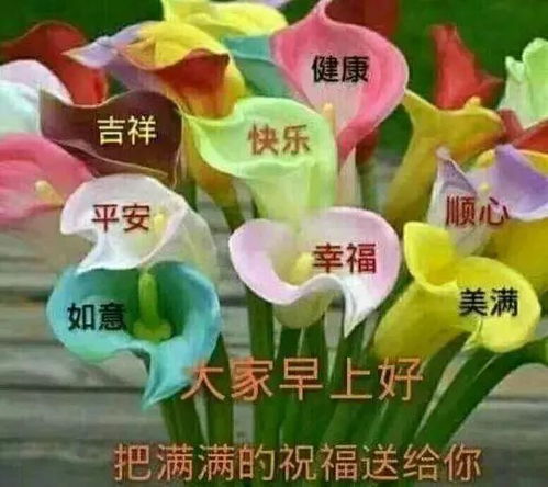 微信早安表情图片问候