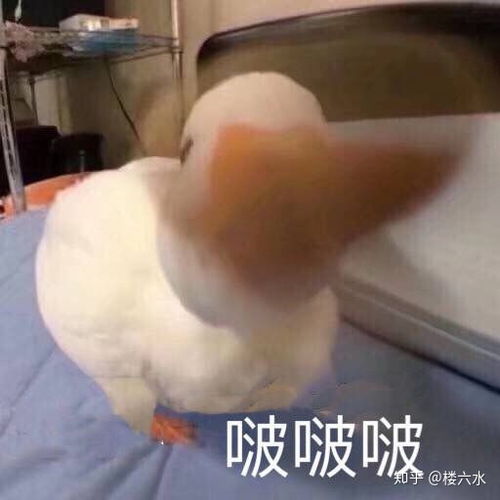 如何言语哄女朋友