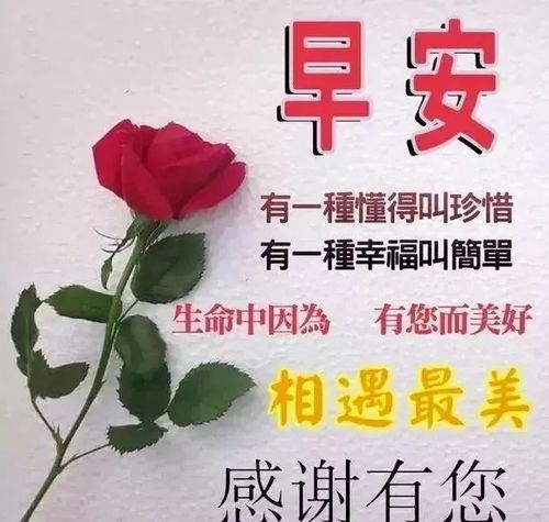上午好微信漂亮的唯美问候语,最新问候语动态图片大全