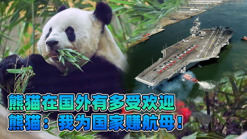 我国熊猫到了国外之后,究竟有多受欢迎熊猫我为国家赚航母