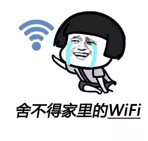 九月,每个镇江新区人都有一段这样的记忆......