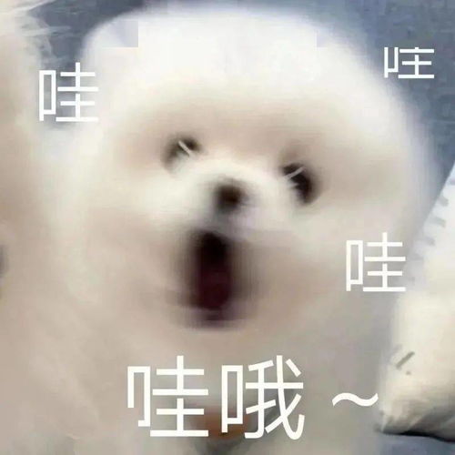 第十四届服装服饰大赛开始啦