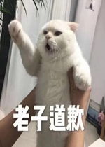 理直气壮道歉图片理直气壮的道歉表情包下载乐游网游戏下载