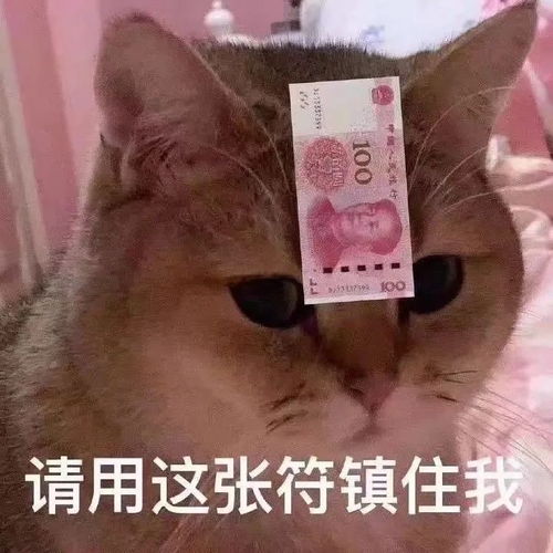 日常聊天必备表情包