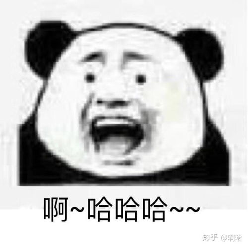 有哪些沙雕熊猫头表情包