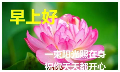 早安图片早上好图片