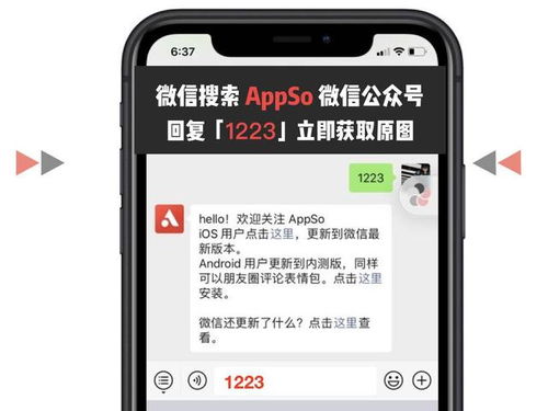 微信转账表情包评论