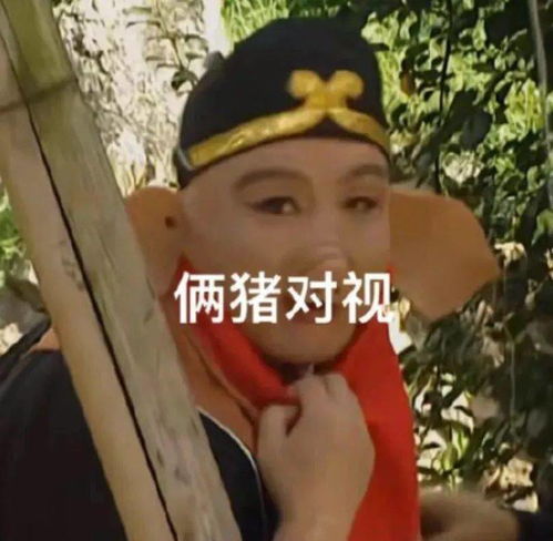 表情包丨自律自爱这不是词汇是行动