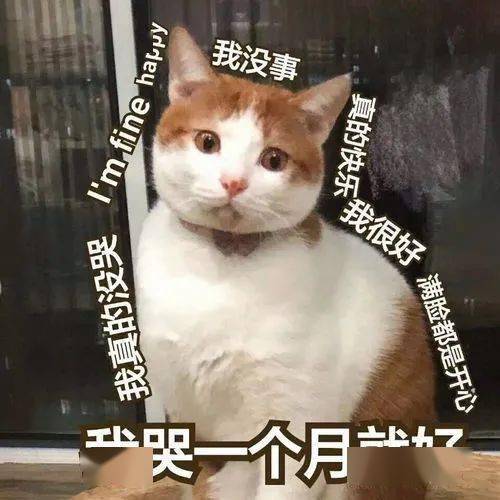 还没开始再晚就得等到明年了