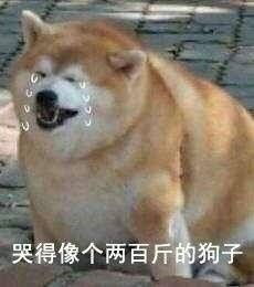 哈哈