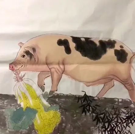 表情猪拱白菜表情包