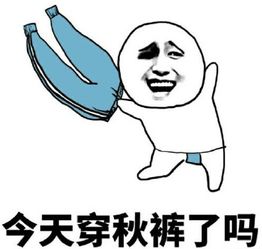 秋裤魔性表情包下载秋裤魔性表情包官方下载