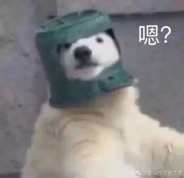斗图表情包该吃吃,该喝喝,遇事别往心里搁