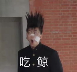 我是大哥大史上最强表情包上线还不你的沙雕朋友一起使用百度云
